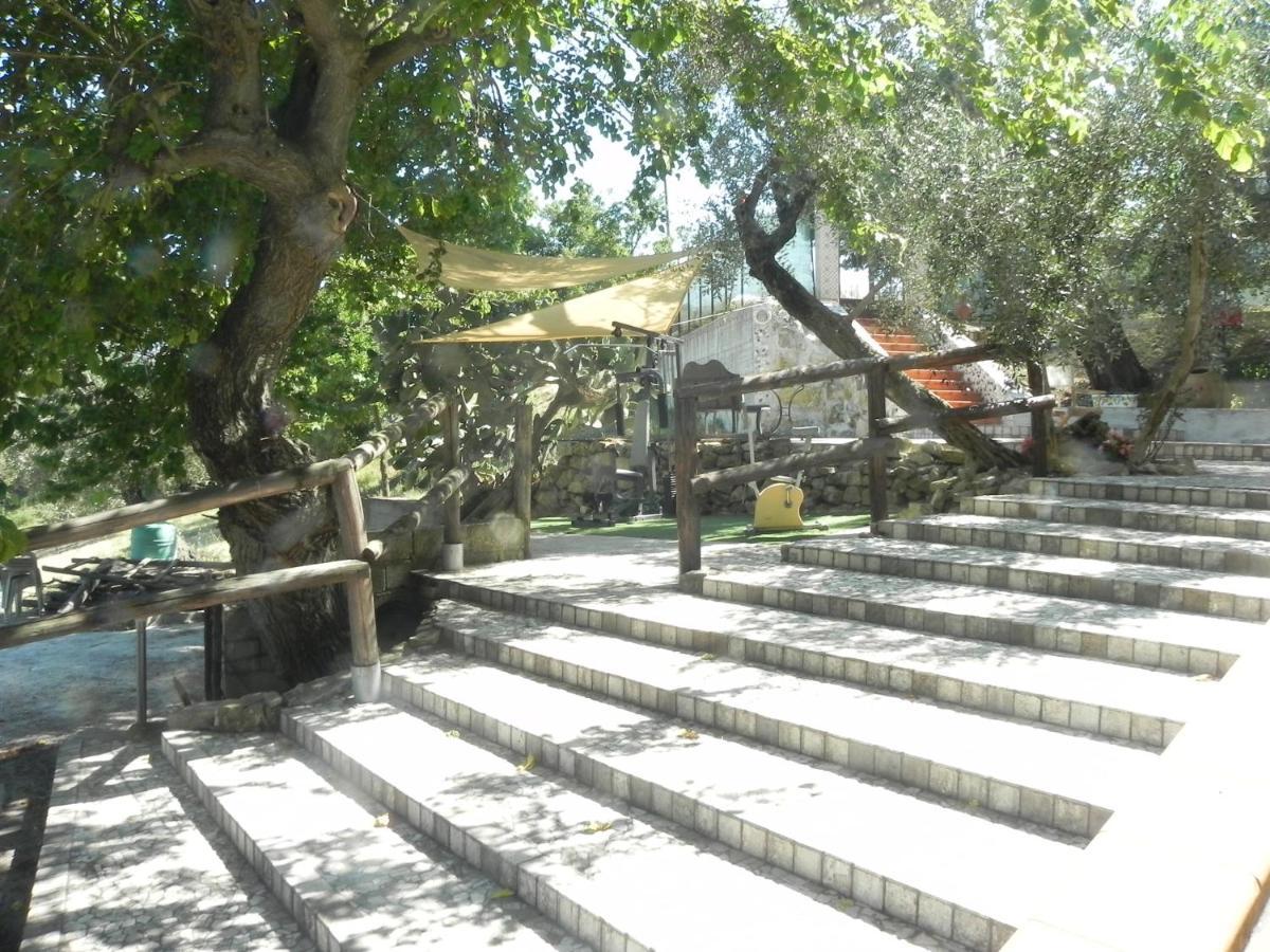 קונטורסי Agriturismo B&B Il Rifugio Di Nino מראה חיצוני תמונה