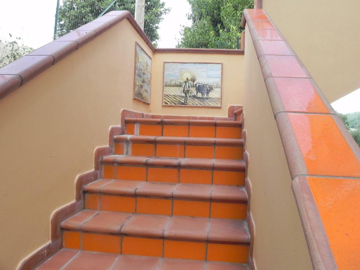 קונטורסי Agriturismo B&B Il Rifugio Di Nino מראה חיצוני תמונה